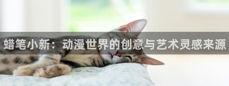 韩漫漫画更新最快:蜡笔小新:动漫世界的创意与艺术灵感来源配图