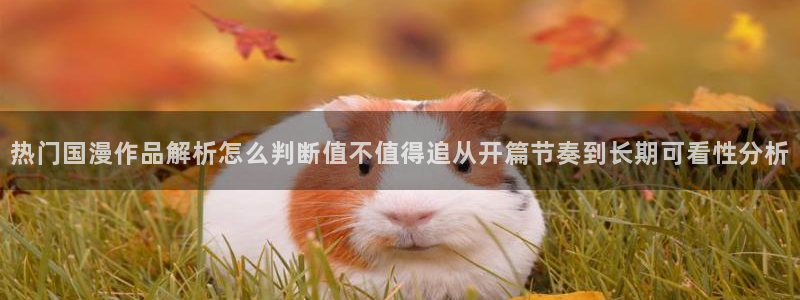 韩漫漫画阅读:热门国漫作品解析怎么判断值不值得追从开篇节奏到长期可看性分析配图