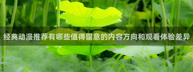 韩漫漫画排行:经典动漫推荐有哪些值得留意的内容方向和观看体验差异配图