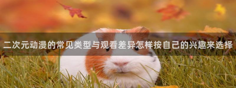 韩漫漫画最新章节:二次元动漫的常见类型与观看差异怎样按自己的兴趣来选择配图