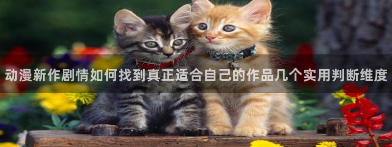 热门韩漫漫画:动漫新作剧情如何找到真正适合自己的作品几个实用判断维度配图