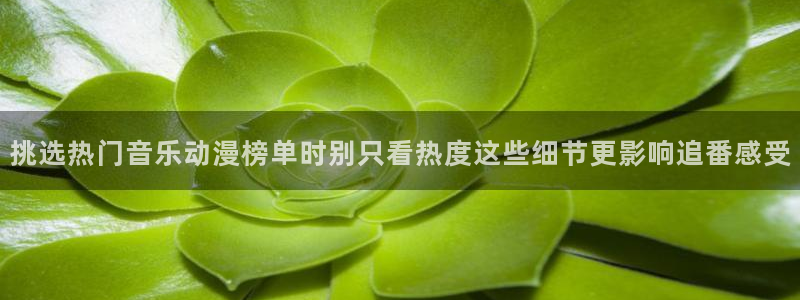 韩漫漫画大全排行榜:挑选热门音乐动漫榜单时别只看热度这些细节更影响追番感受配图