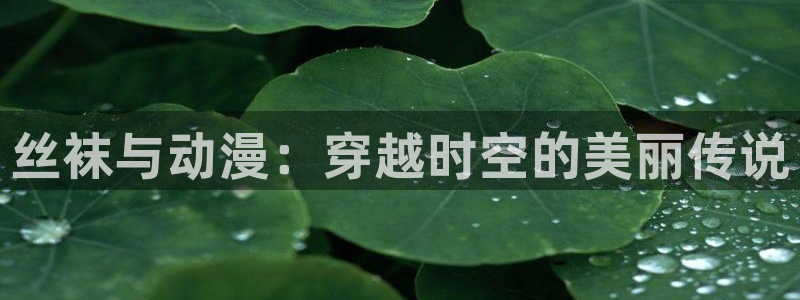 韩国漫画免费阅读:丝袜与动漫:穿越时空的美丽传说配图